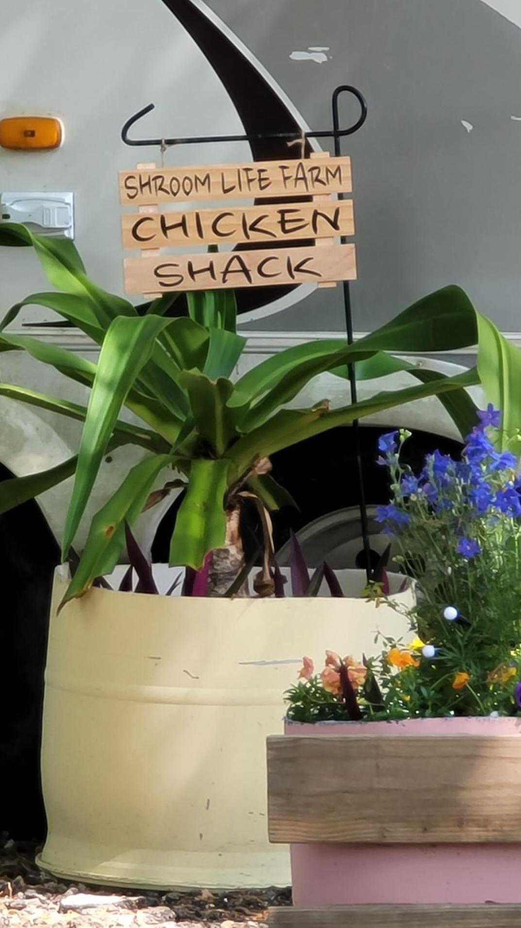 Shroom Life Farm Chicken Shack North Fort Myers Exteriér fotografie